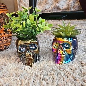 Halloween Skull Planters